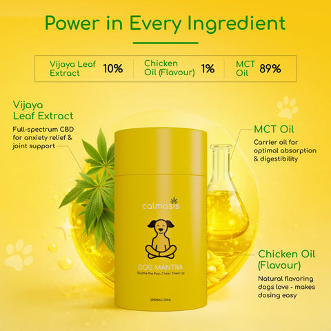 Dog Mantra - THC-Free CBD Oil for Pet Anxiety