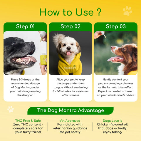Dog Mantra - THC-Free CBD Oil for Pet Anxiety