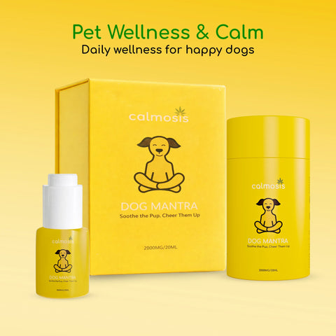 Dog Mantra - THC-Free CBD Oil for Pet Anxiety