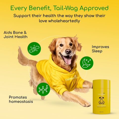 Dog Mantra - THC-Free CBD Oil for Pet Anxiety