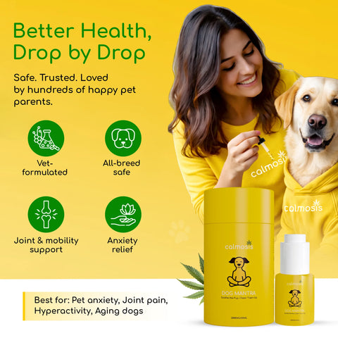 Dog Mantra - THC-Free CBD Oil for Pet Anxiety