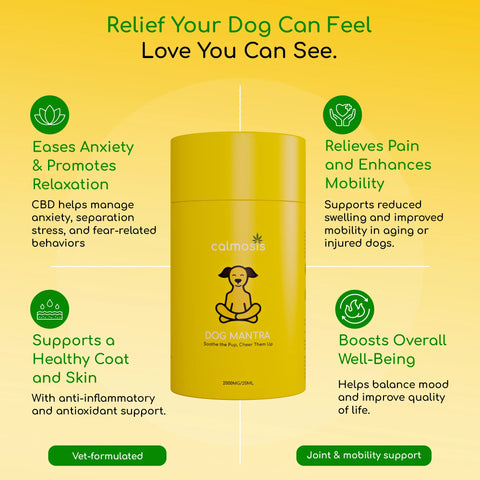 Dog Mantra - THC-Free CBD Oil for Pet Anxiety