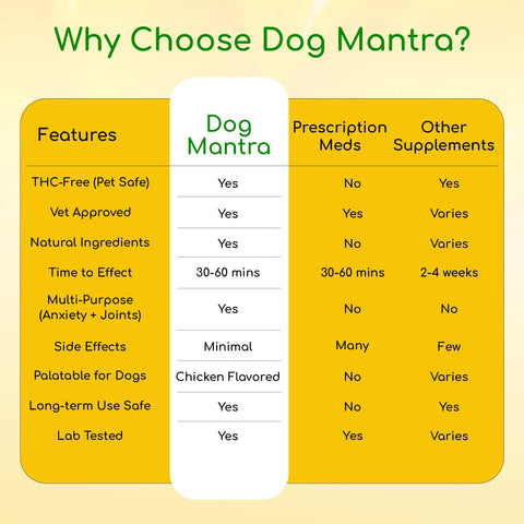 Dog Mantra - THC-Free CBD Oil for Pet Anxiety