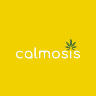 Business Talkz — Calmosis press feature